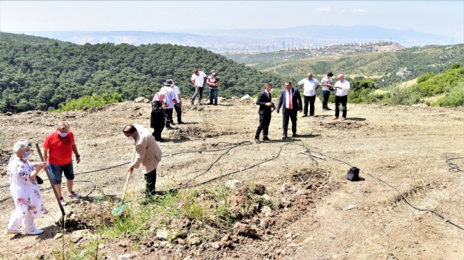 Bornova'da yüzlerce zeytin fidanı toprakla buluştu