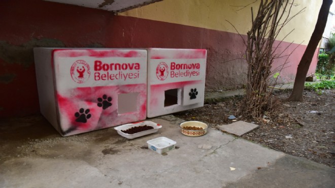 Bornova'da belediyeden 'can dostu' hizmet