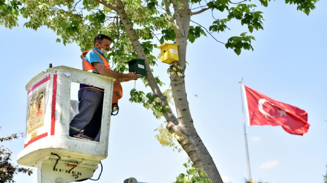 Bornova'da belediyeden rengarenk kuş evleri