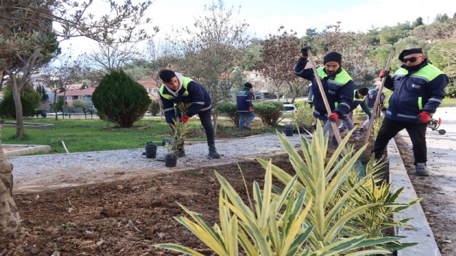 Bornova da parklara yeşil dokunuş!