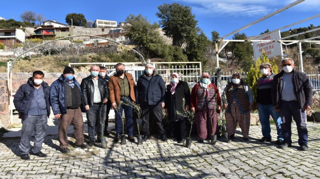 Bornova'da üreticiye destek tam gaz!