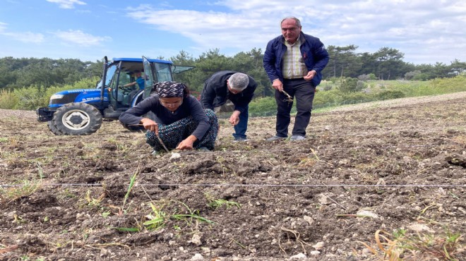 Bornova'da üreticiye sözleşme desteği