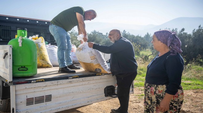 Bornova da zeytin dalından sofraya ücretsiz ulaşım