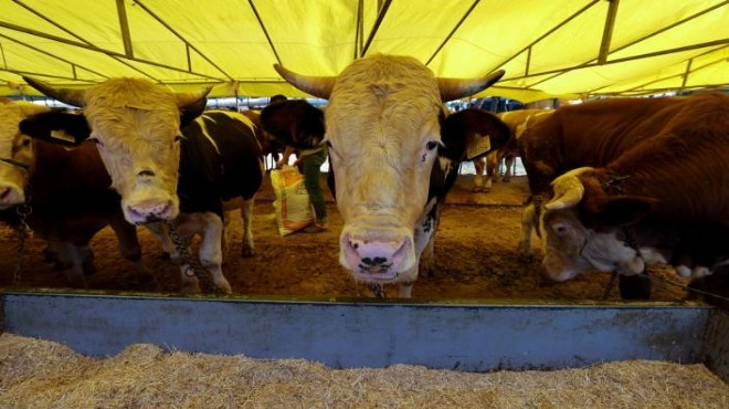 Bornova’da kurban satış yerleri hazırlandı