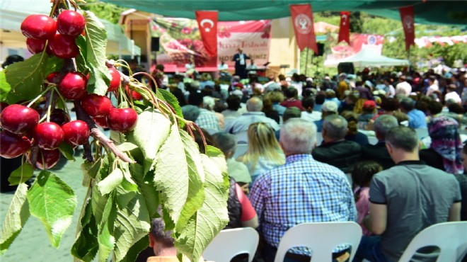 Bornova'da üç gün üç gece kiraz festivali!