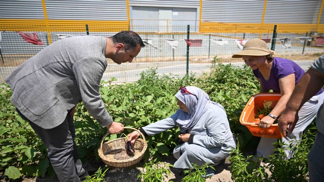 Bornova'nın kalbinde Kent Bostanları'yla umut yeşeriyor