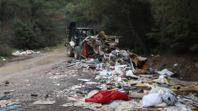 Belediyeden  Yıldızlar Ormanı  açıklaması!