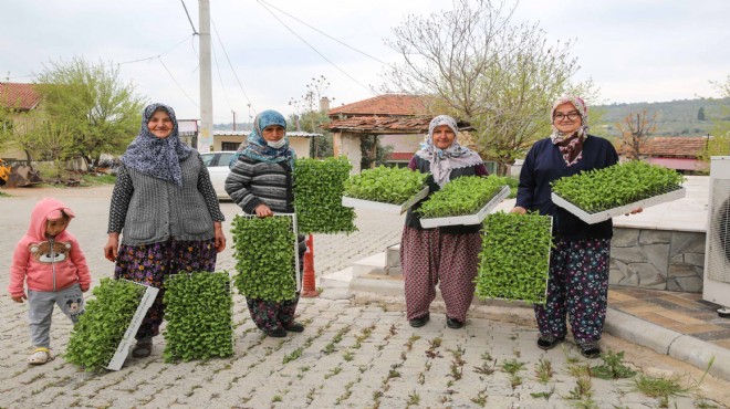 Buca Belediyesi'nden üreticiye fide desteği!