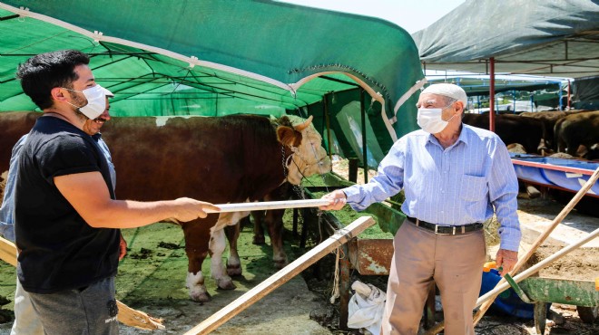 Buca da 52 noktada kesim yeri... Zabıta alarmda!