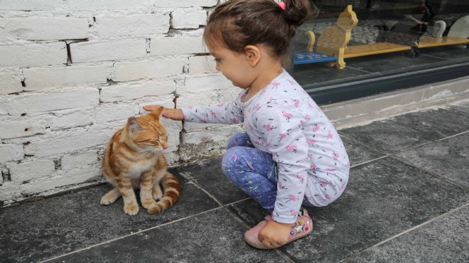 Buca da bir sevgi festivali!