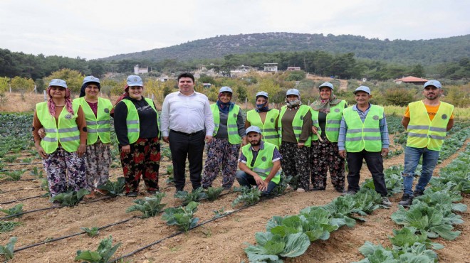 Buca da kış sezonunun ilk hasadı: Başkan da katıldı!