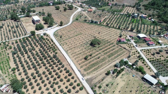 Buca da  tarımsal kalkınma  bereketi: 54 ton hasat kapıda!