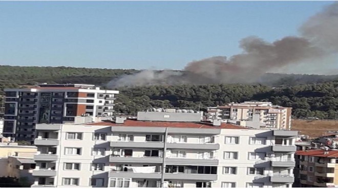 Buca'daki orman yangını söndürüldü