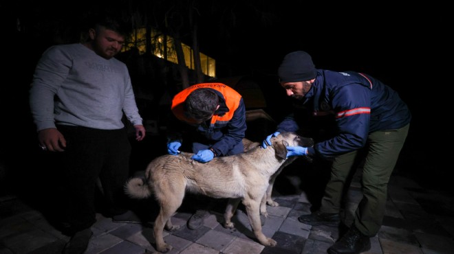 Buca'nın veterinerleri yara sarmak için afet bölgesinde!