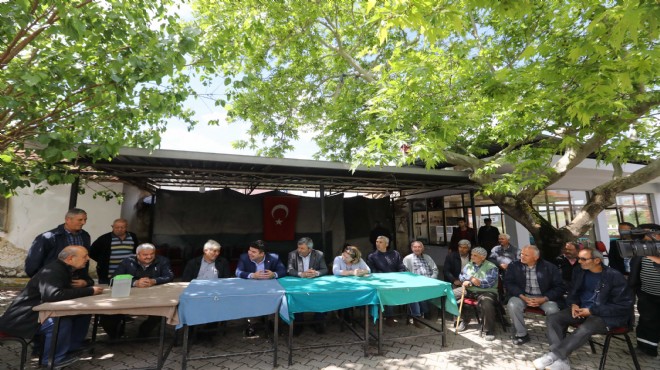 Buca köylerinde zeytin seferberliği