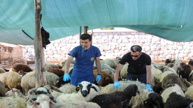 Buca’da Kurban Bayramı öncesi sıkı denetim