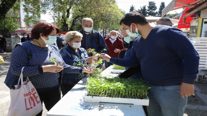 Buca'da balkon tarımı için 100 bin fide