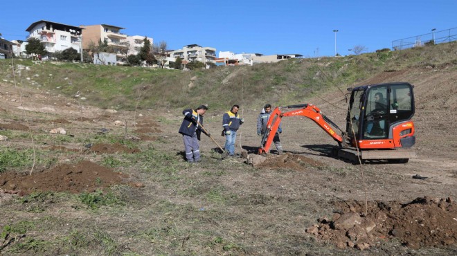 Buca'nın kalbine bin ağaçlık dev orman