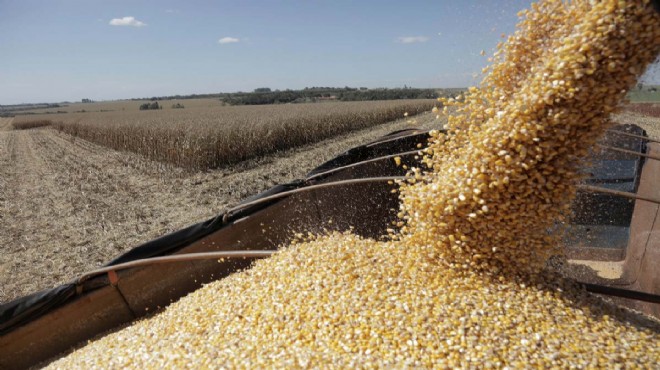 Buğday ve mısır alarmı: 32 yılın zirvesinde!