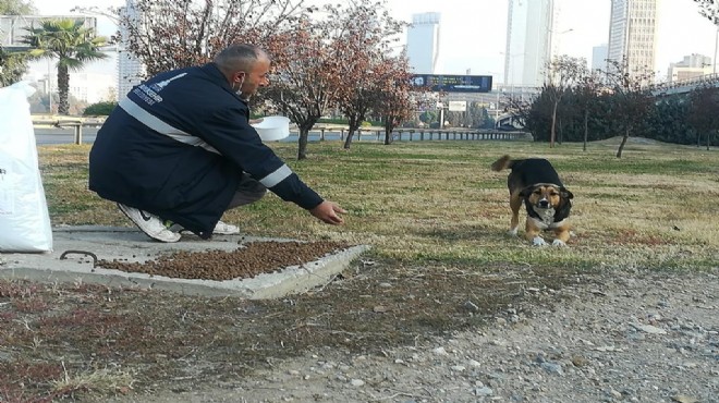 Büyükşehir can dostları unutmadı