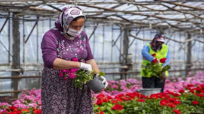 Büyükşehir'den üreticiye destek, annelere hediye