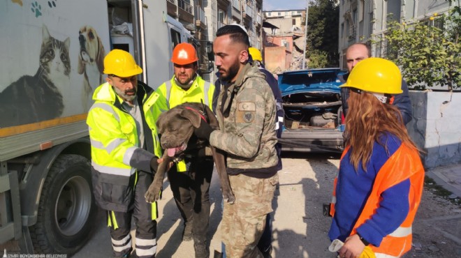 Büyükşehir deprem mağduru can dostları unutmadı