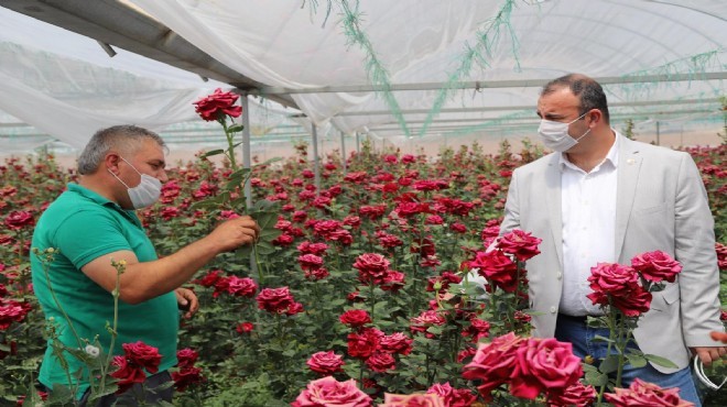 CHP'li Arslan: Çiçek serada kaldı....Üretici perişan