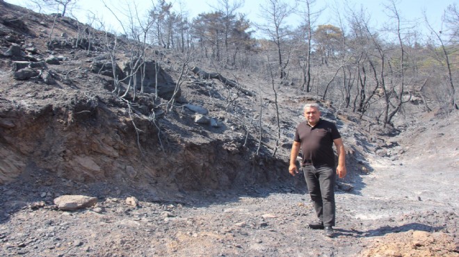 CHP'li Serter'den Bakan Pakdemirli'ye yangın çıkışı: Saf olmayın, uyanık olun!