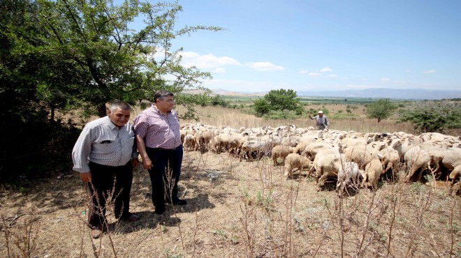 CHP'li Sındır veba salgınını Meclis'e taşıdı