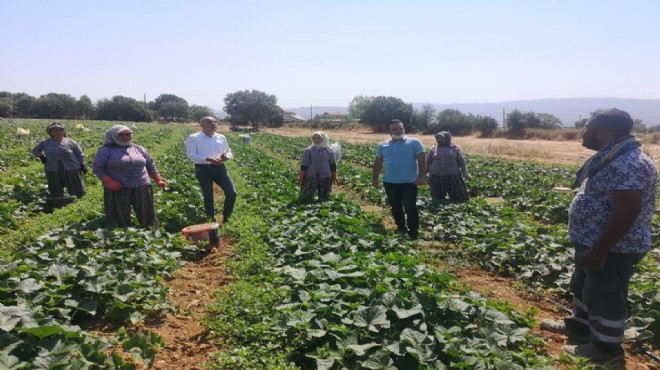 CHP'li Polat: Çiftçi kredi ile yaşamaya mahkum!