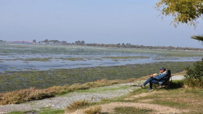 Çakalburnu Lagünü deniz maruluyla kaplandı