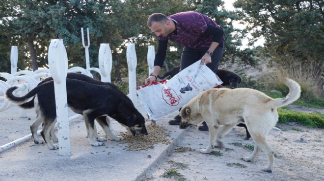 Çeşme Belediyesi soğuk havalarda sokak hayvanlarını unutmuyor