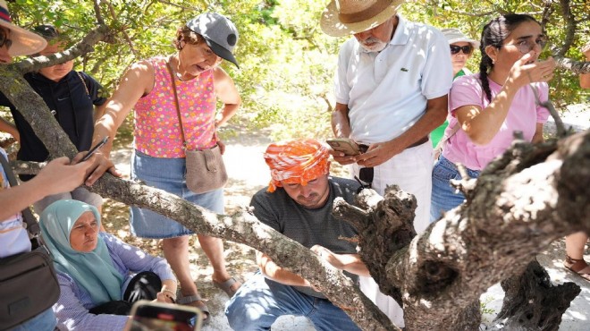 Çeşme de coğrafi mirasa sahip çıkma dersi