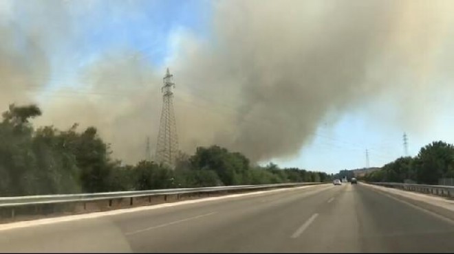 Çeşme'de 15 hektar makilik alan yandı