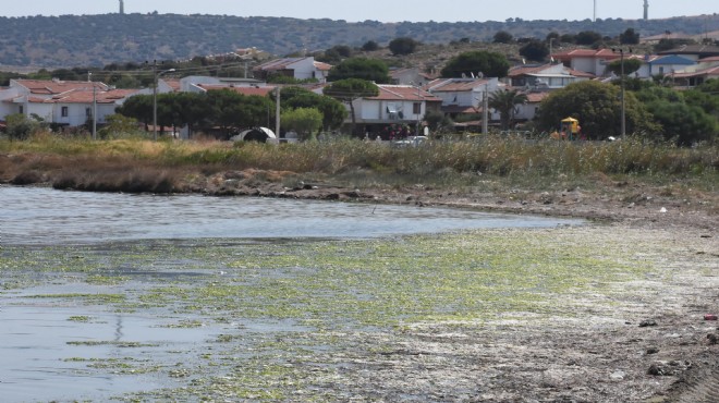 Çeşme'de şoke eden kirlilik: Başkan TOKİ'yi işaret etti... TOKİ'den açıklama geldi!