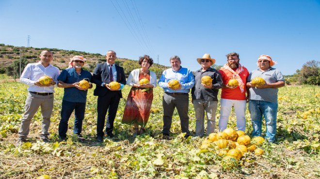 Çeşme kavunu tescillendi