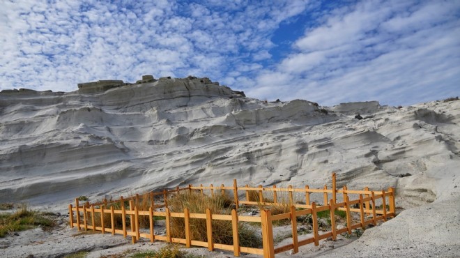 Çeşme’de kum zambakları koruma altına alındı