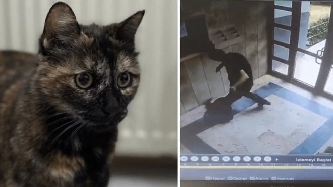 Cezve’nin katilinin cezası belli oldu!