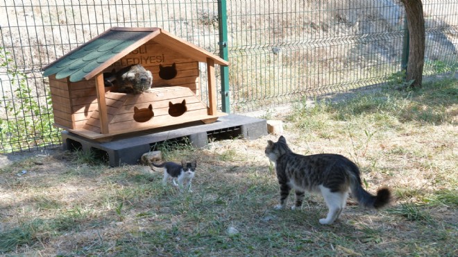 Çiğli Belediyesi sokak sakinlerini kara kışa hazırlıyor