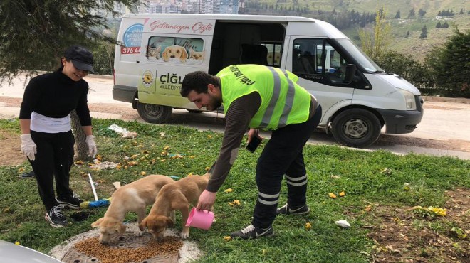 Çiğli Belediyesi can dostları unutmadı