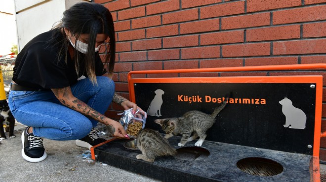 Çiğli Belediyesi  can dostları  unutmadı