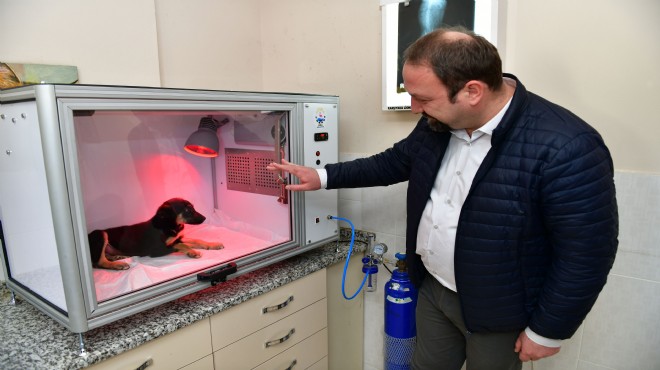 Çiğli de can dostlar yoğun bakım ünitesi