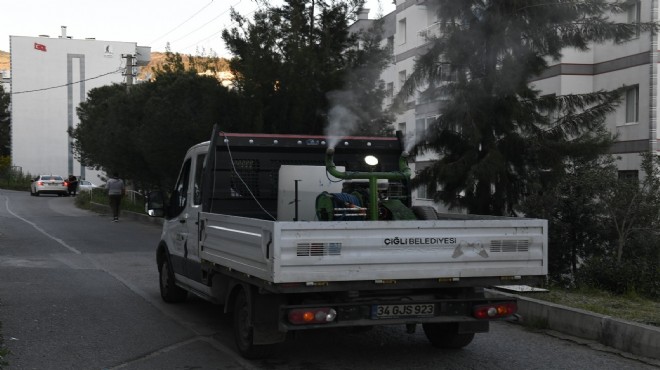 Çiğli de sivrisineklere karşı savaş!