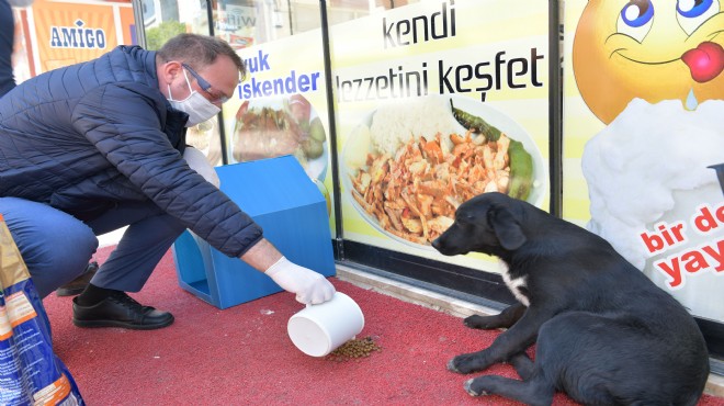 Çiğli'de veterinerlik hizmetlerinde rekor artış