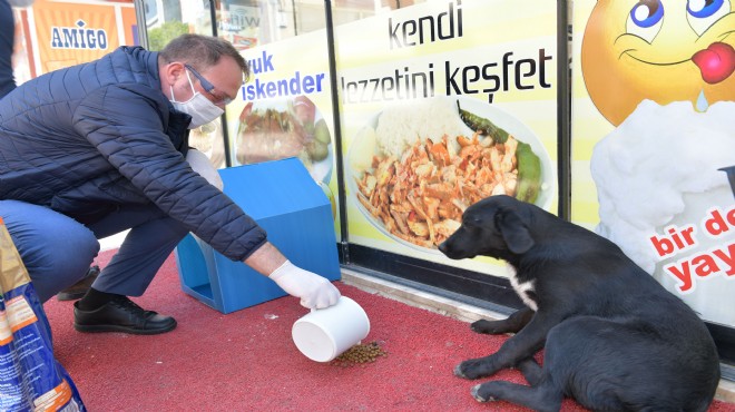 Çiğli de veterinerlik hizmetlerinde rekor artış