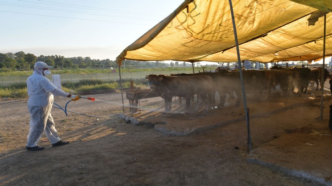 Çiğli'de hayvan pazarları dezenfekte edildi