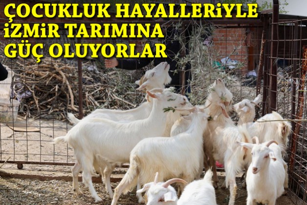 Çocukluk hayalleriyle İzmir tarımına güç oluyorlar