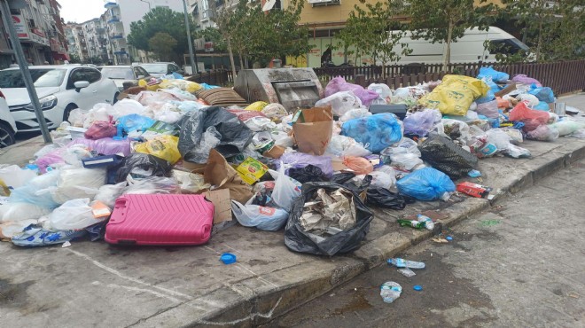 Çöpler karasinek sayısını patlattı:  Enfeksiyon riski  uyarısı!