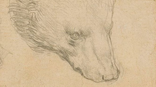 Da Vinci'nin çizimi servet değerinde satılacak