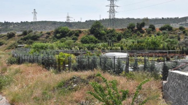 Danıştay onadı; Uzundere'ye JES projesi iptal